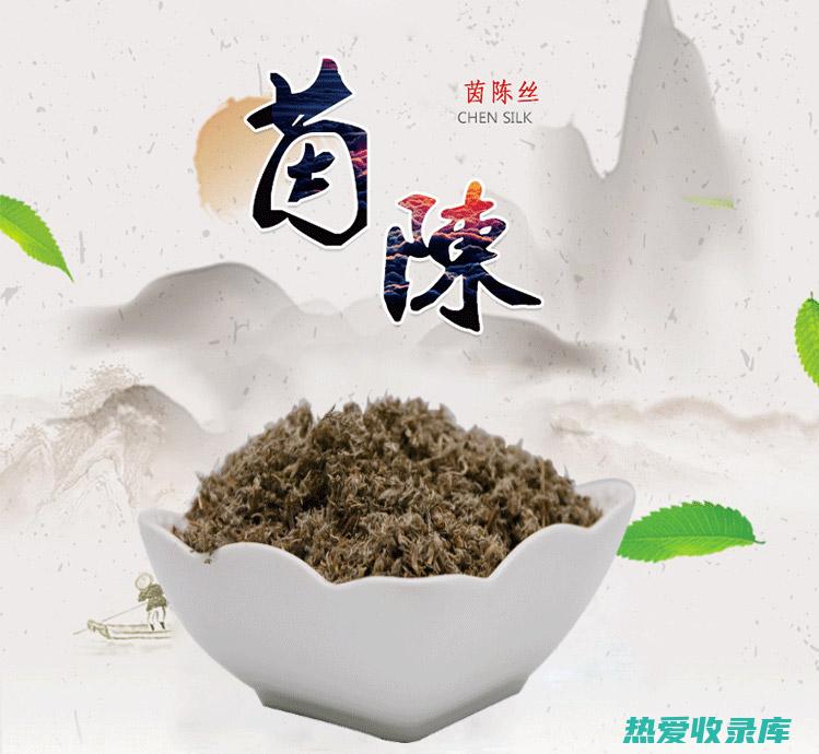 绵茵陈的功效 (绵茵陈的功效作用)