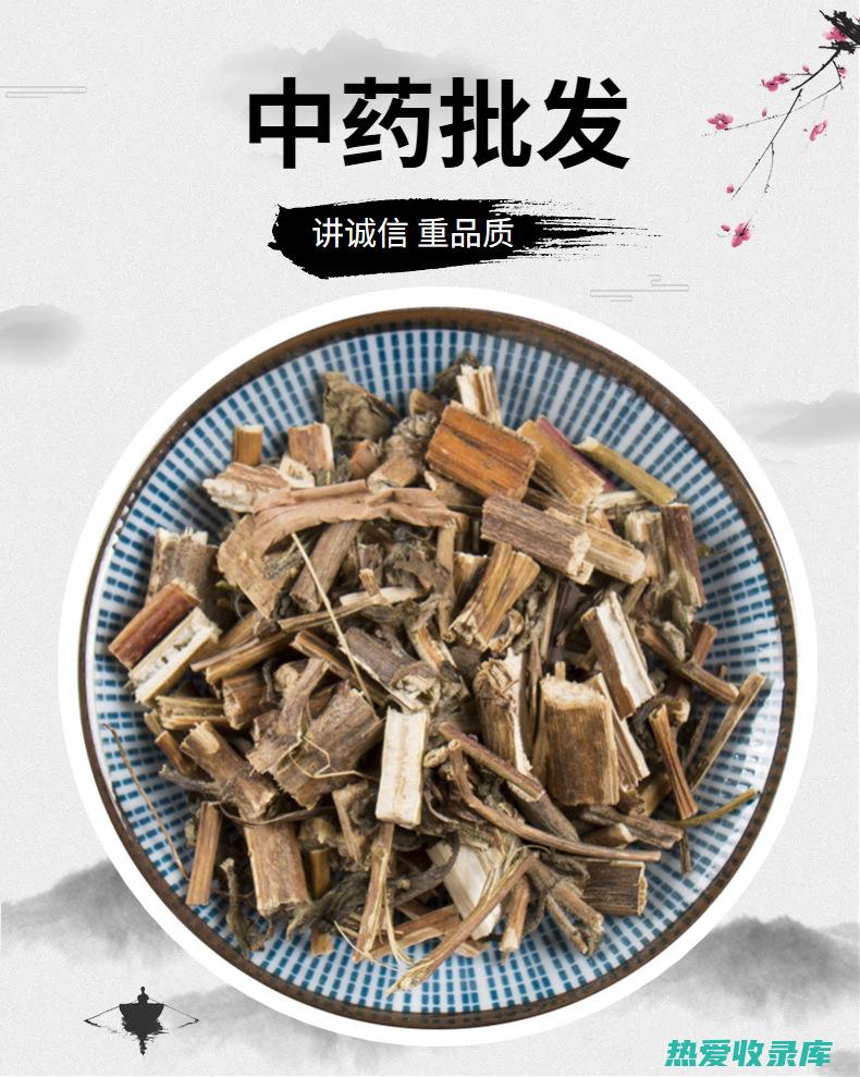 中药木槭草功效与禁忌