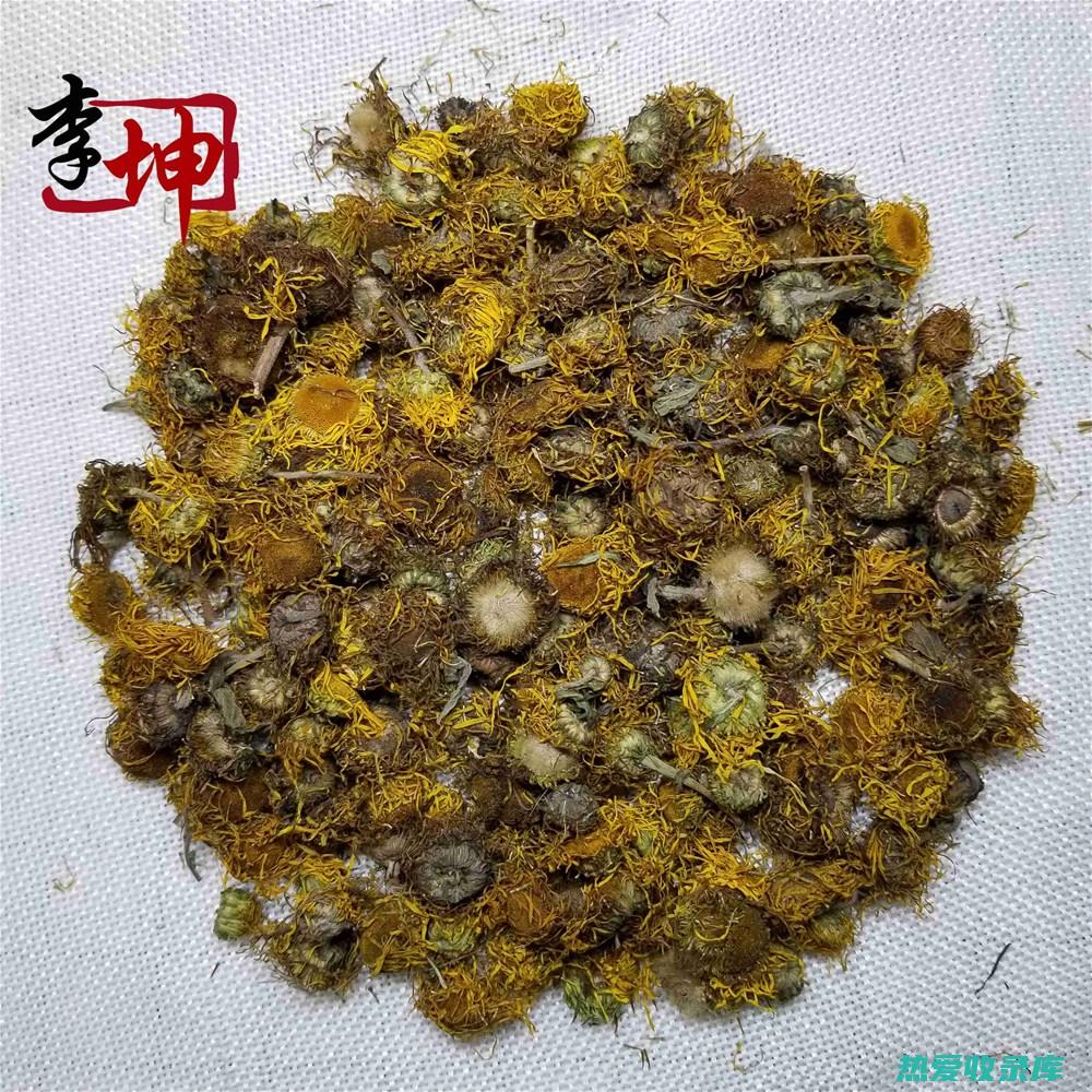 梵天花全草入药吗