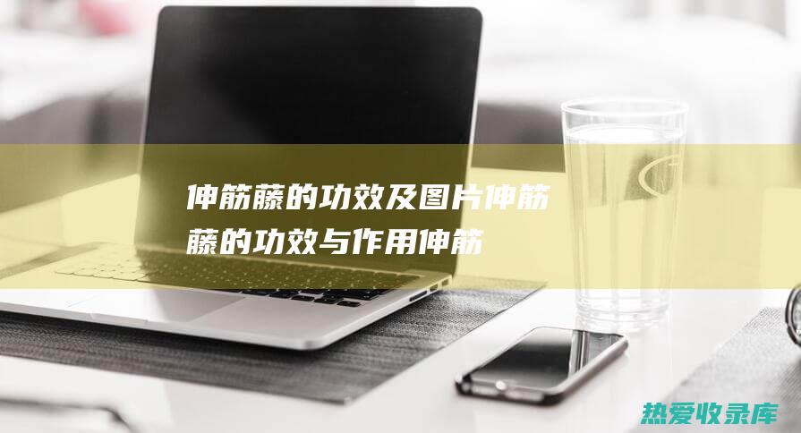 伸筋藤的功效及图片伸筋藤的功效与作用伸筋