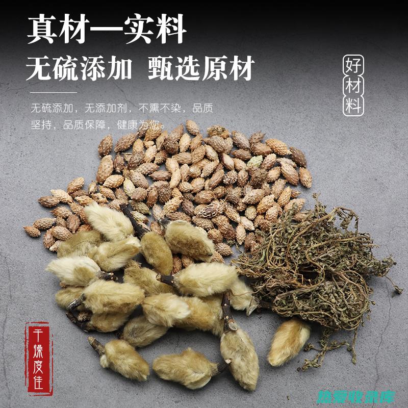 细辛外用的功效与作用 (细辛外用的功效和作用主治)