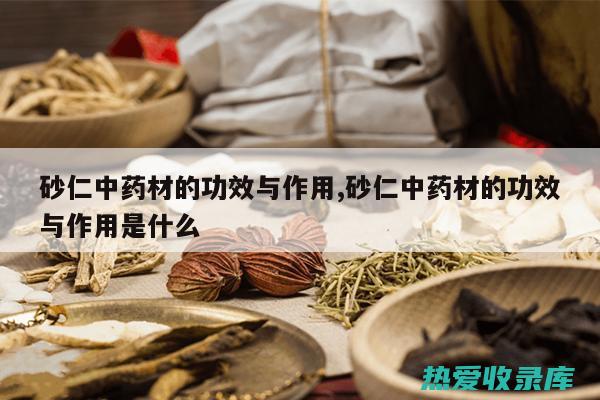 生砂仁作用与功效 (生砂仁的功效)