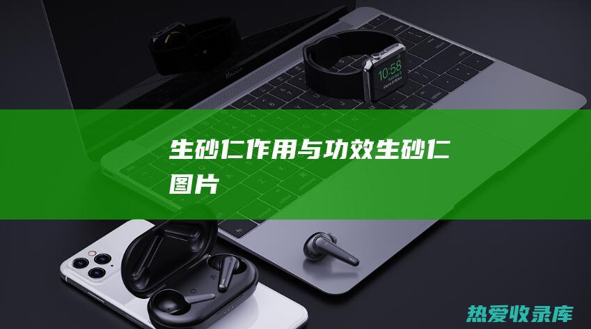 生砂仁作用与功效生砂仁图片