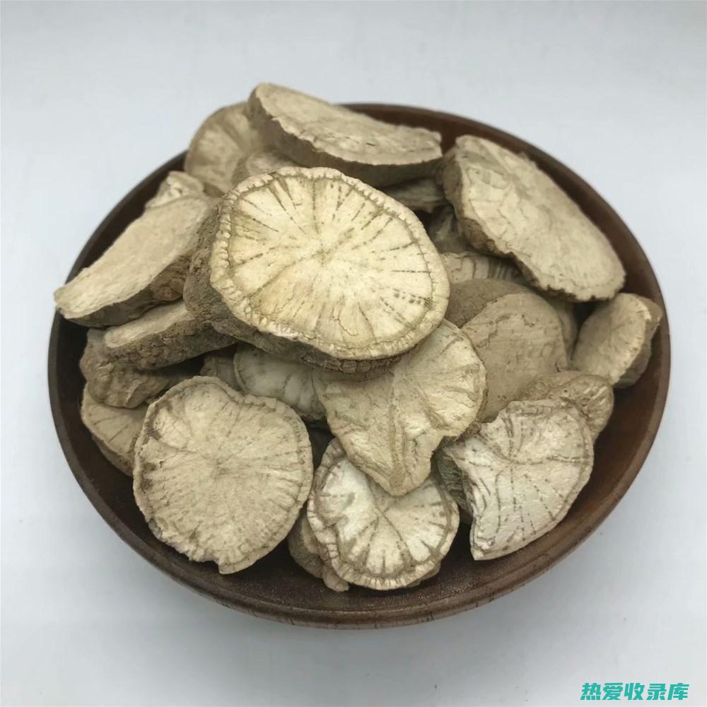 防己功效与作用 (防己功效与作用与主治功)