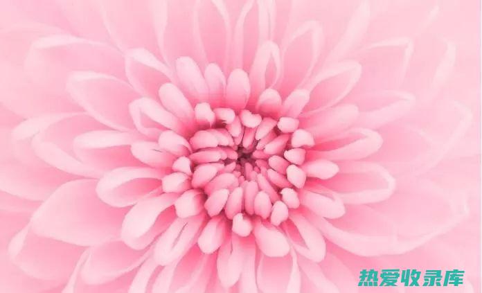 桃仁红花煎功效 (桃仁红花煎功效主治)