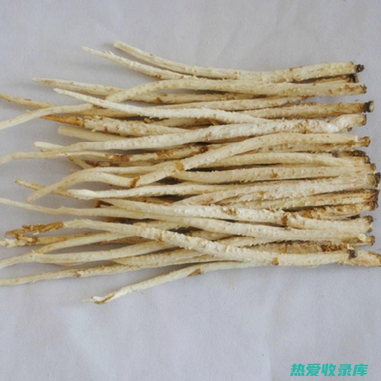 北的功效与作用区别