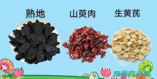 中药萸肉的功效与作用 (中药萸肉的功效与作用是什么)