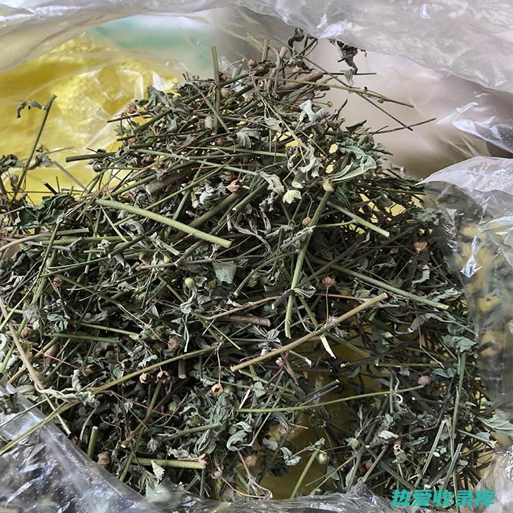 中草药桃花的功效与作用 (中草药桃花的功效)