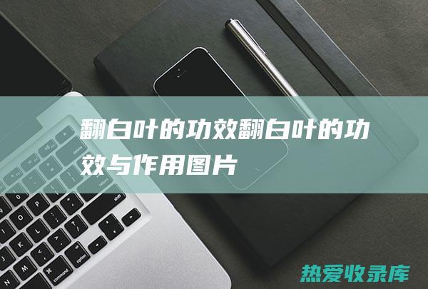 翻白叶的功效 (翻白叶的功效与作用图片)