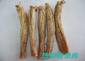 东洋参的作用与功效