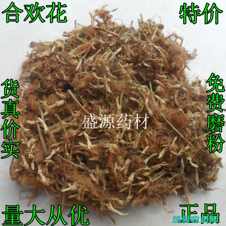 青龙盘中药功效与作用 (青龙盘山什么意思)