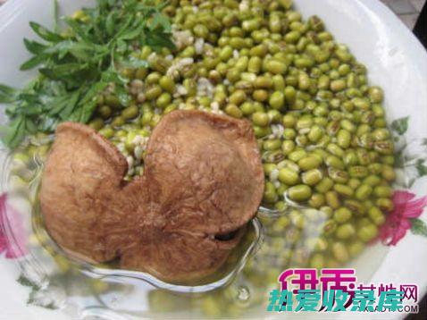 江南臭草功效和作用