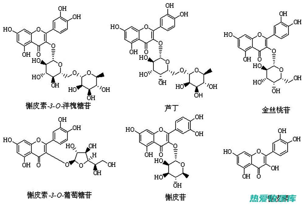 中药黄酮功效的信号通路