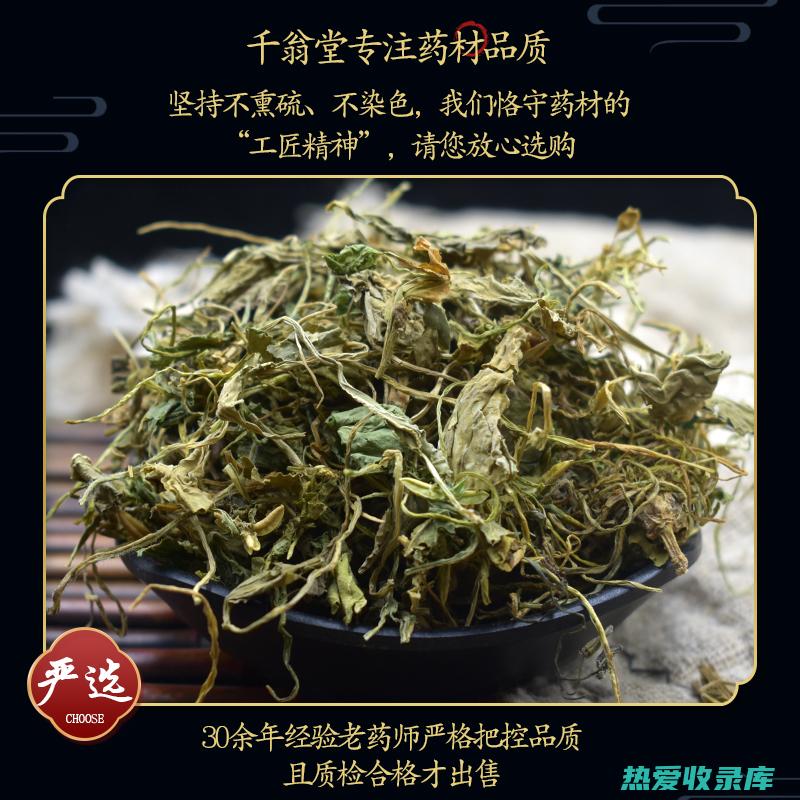 紫地丁草的功效与作用 (紫地丁草的功效)