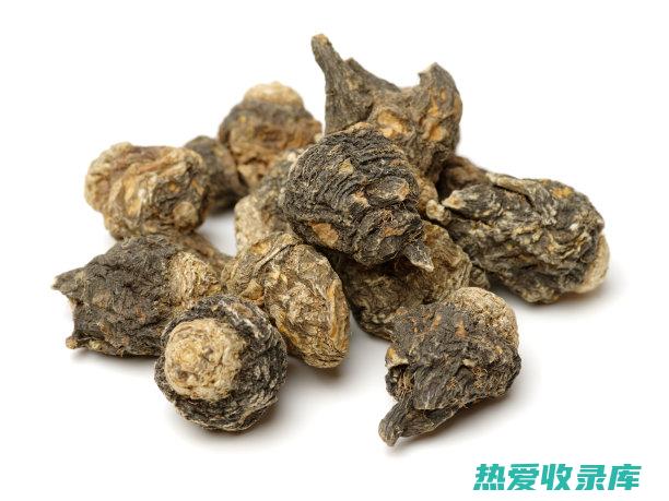 的药用功效与主治与用量