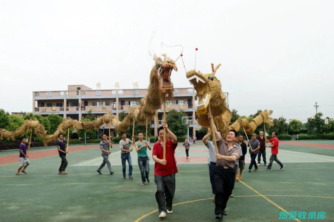 八草金龙的功效和药用 (八草金龙的功效与作用是什么)