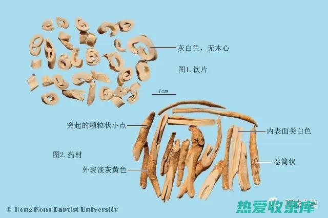 中药九层皮的功效 (中药九层皮的别名)