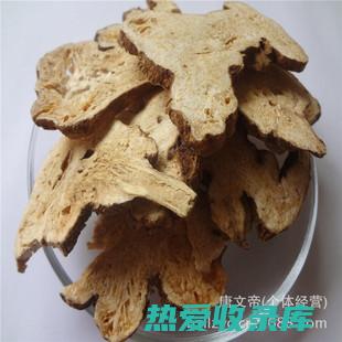 炒龟板功效 (炒龟板功效作用与主治)