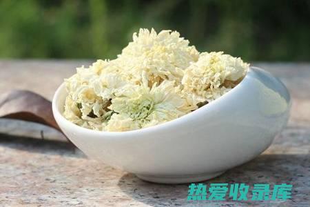 白菊花的功效作用与主治