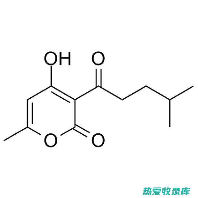 中药广藿香的功效与作用