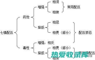 中药无柄的功效