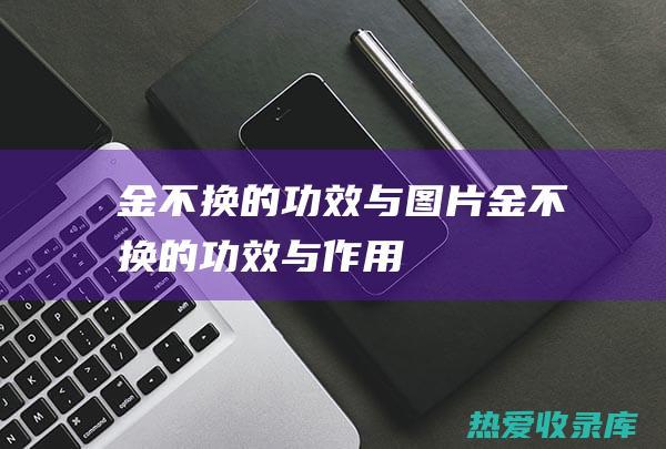 金不换的功效与图片 (金不换的功效与作用)