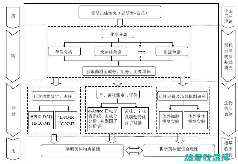 延胡索的作用与功能主治