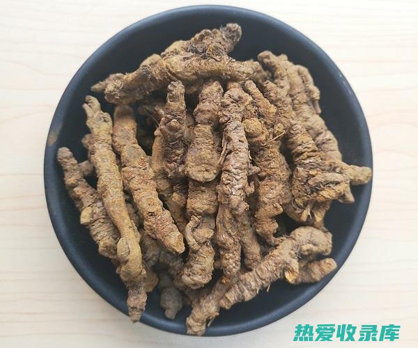 萸黄莲的功效与作用 (萸黄莲功效与作用)