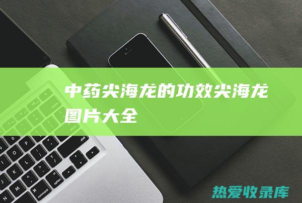 中药尖海龙的功效尖海龙图片大全