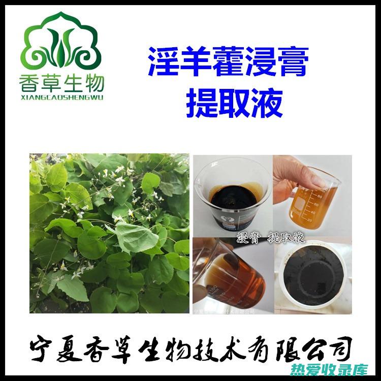 淫羊藿浸膏的功效