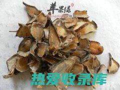 中药制附片作用与功效