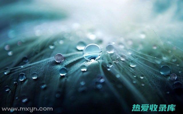 露水功效