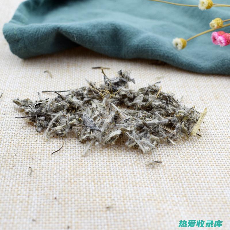 中药材老头草