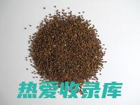 丝子的功效与作用 (丝子的功效与作用及食用方法)