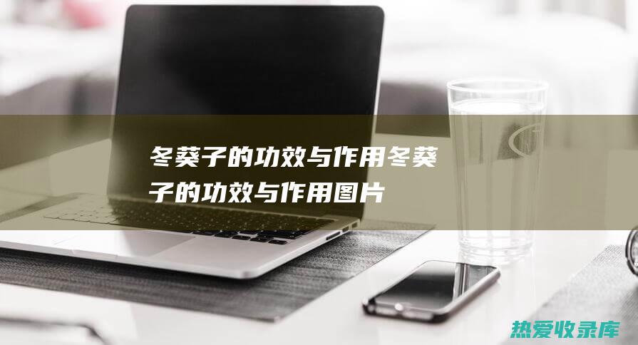 冬葵子的功效与作用冬葵子的功效与作用图片