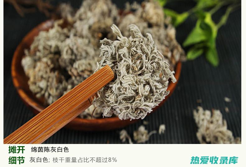 绵茵陈的功效与吃法 (绵茵陈的功效作用)