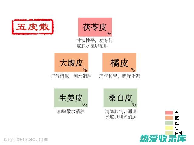 五皮散的功效 (五皮散的功效与作用的功能与主治)