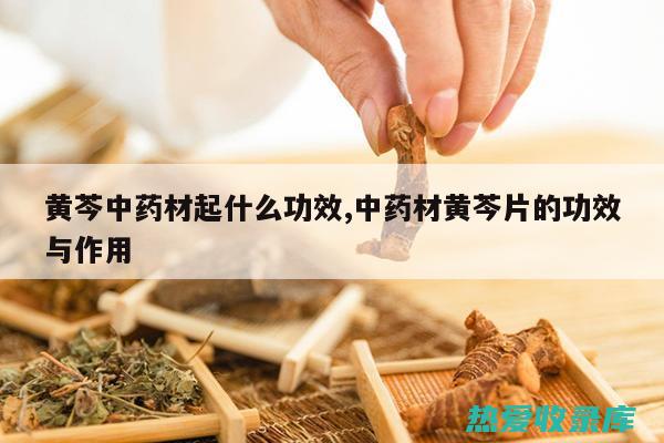 黄芩片功效与作用主治什么病