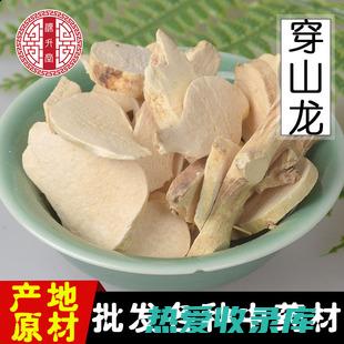 紫金龙打粉外敷的功效 (紫金龙药草管什么作用)