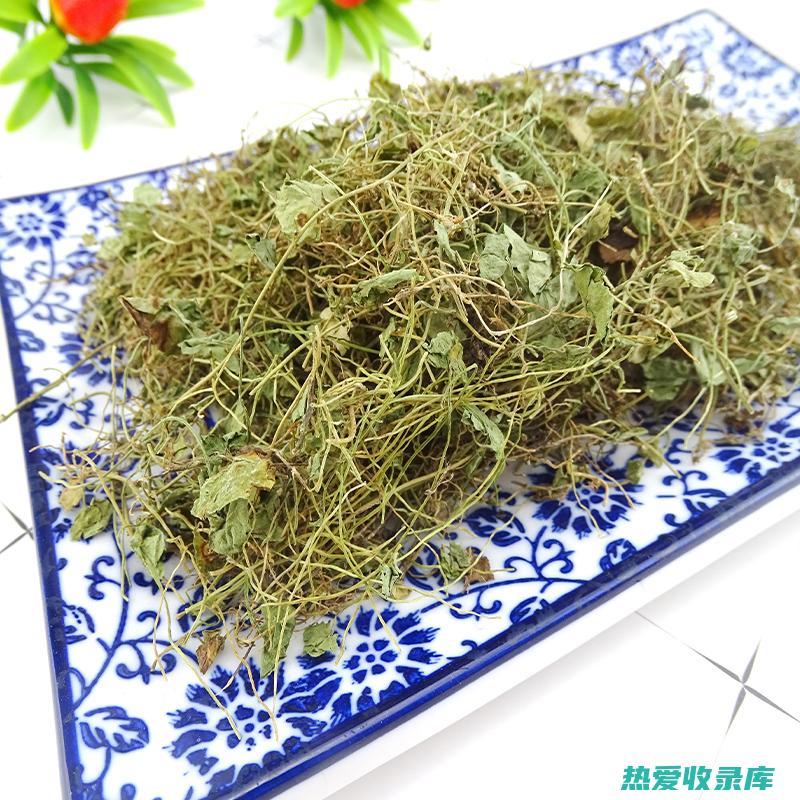 小金钱草的功效与作用 (小金钱草的功效)