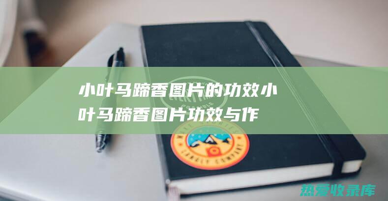 小叶马蹄香图片的功效 (小叶马蹄香图片功效与作用)