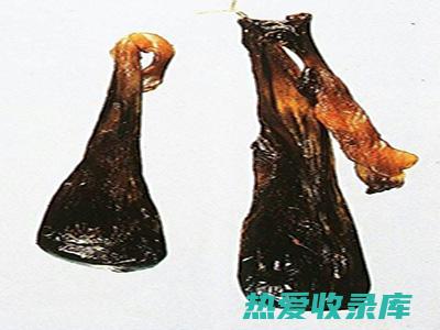 猪胆汁的功效与作用 (猪胆汁的功效与作用治痔疮吗)