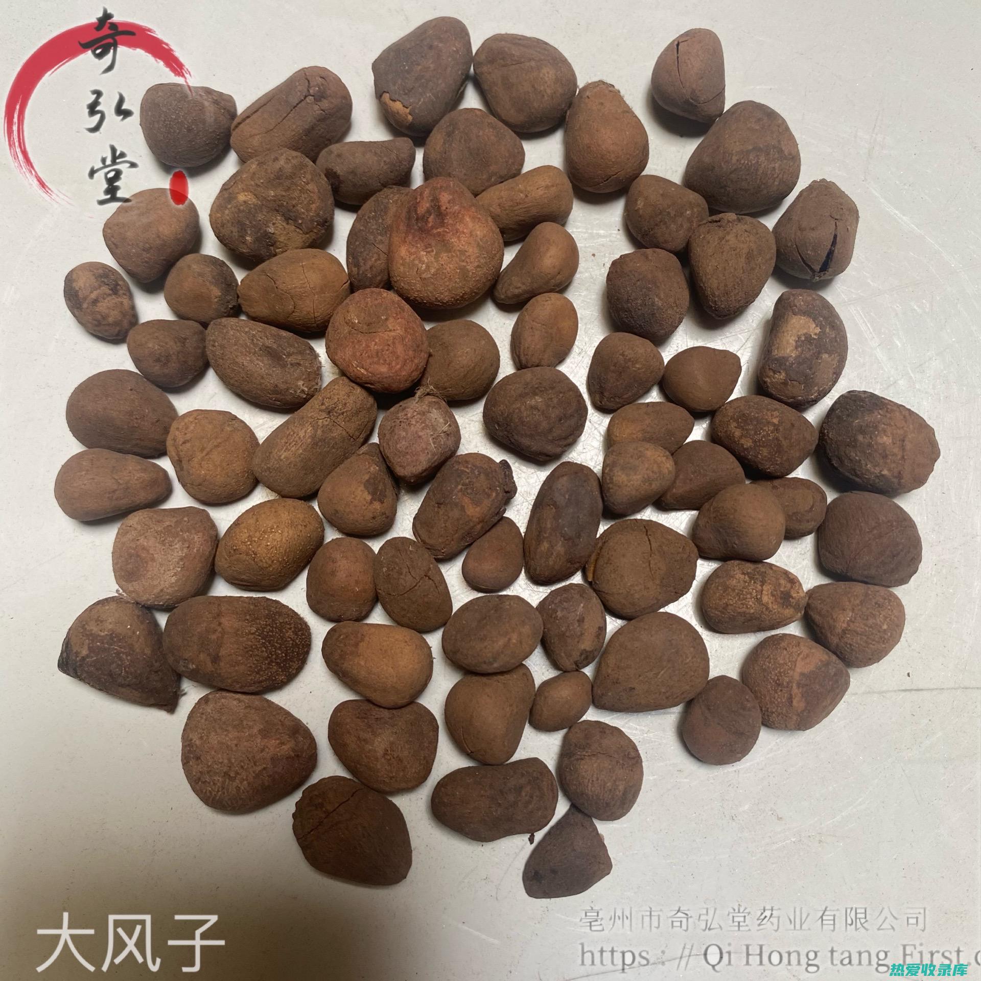 枫球子功效与作用 (枫球子的药用价值)