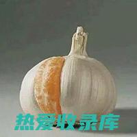 小蒜的药用功效 (小蒜的药用功效与禁忌)