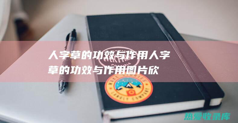 人字草的功效与作用 (人字草的功效与作用图片欣赏)