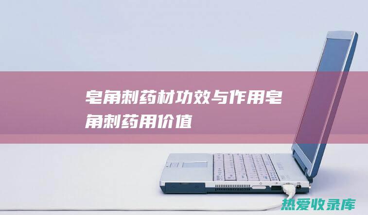 皂角刺药材功效与作用皂角刺药用价值