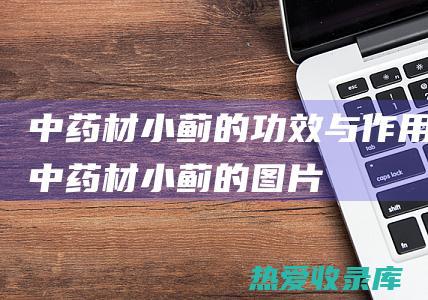 中药材小蓟的功效与作用中药材小蓟的图片