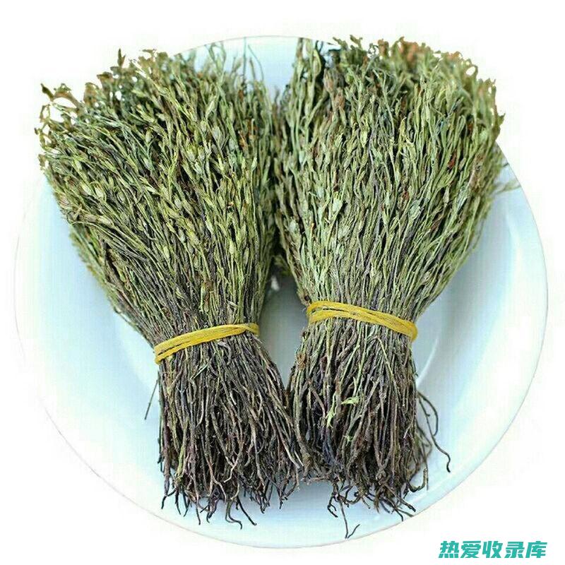 独脚香茅作用与功效