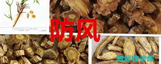 防风花功效和禁忌