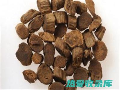 牛膝功效与用量 (牛膝功效与用量是多少)